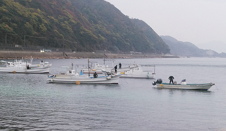 画像：山口県へのIターンで漁業に従事する先輩 仕事風景 その1