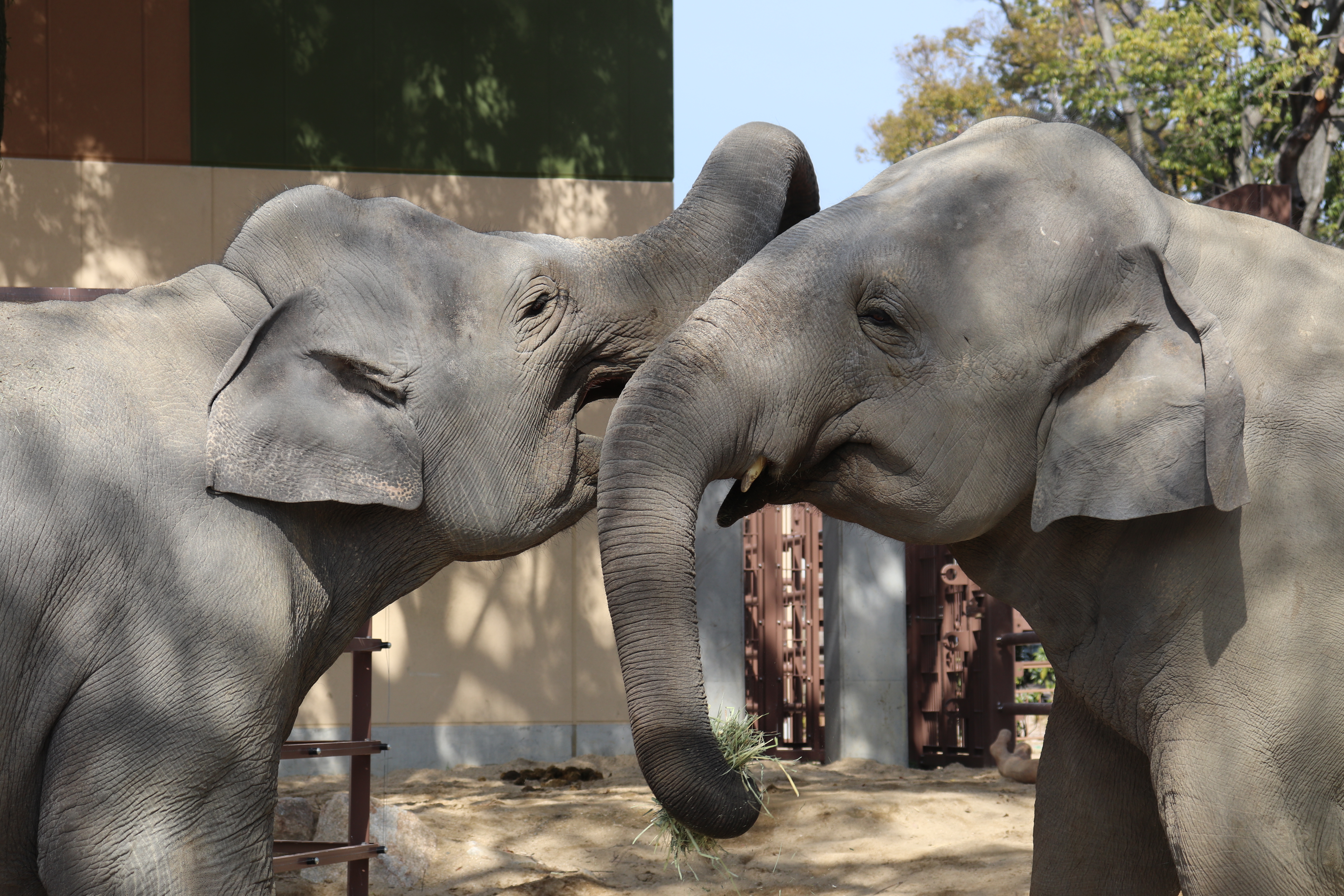 画像：徳山動物園