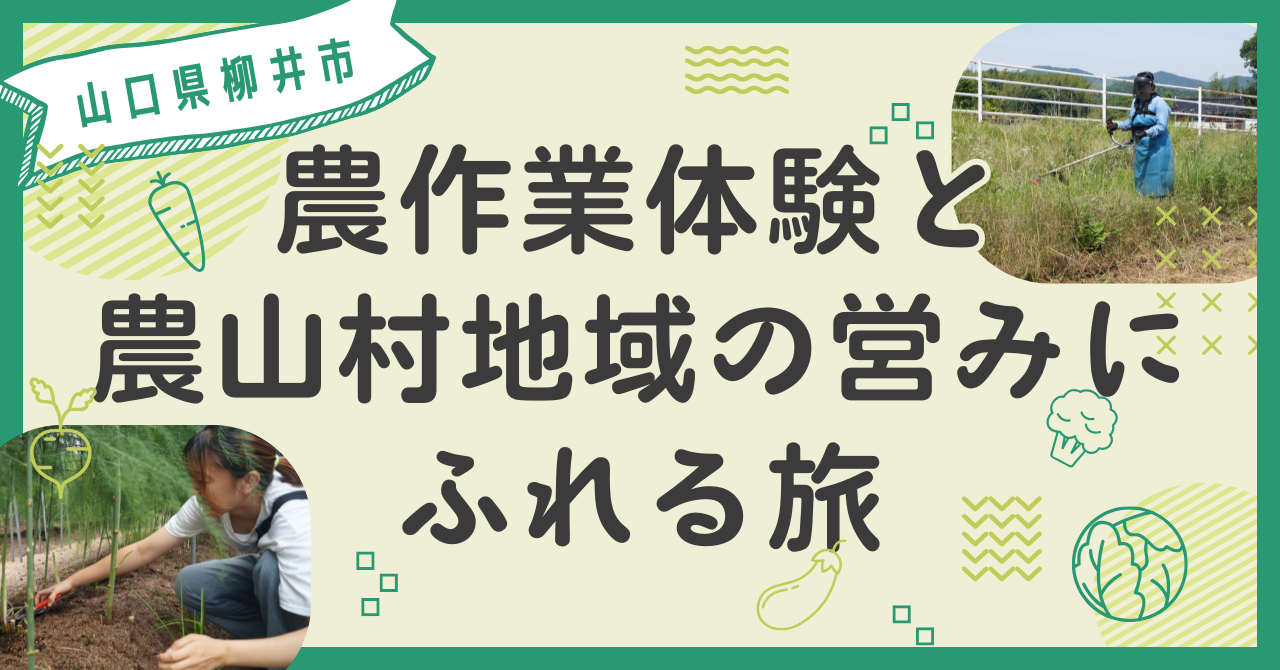 画像:【柳井市】田舎で農業体験しませんか?