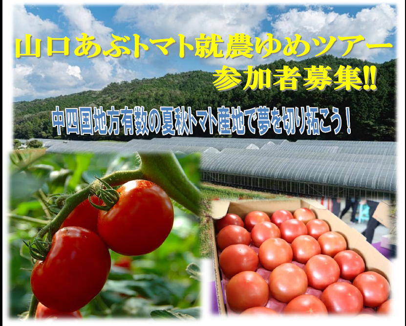 画像:【9月20日・21日開催!】山口あぶトマト就農ゆめツアー