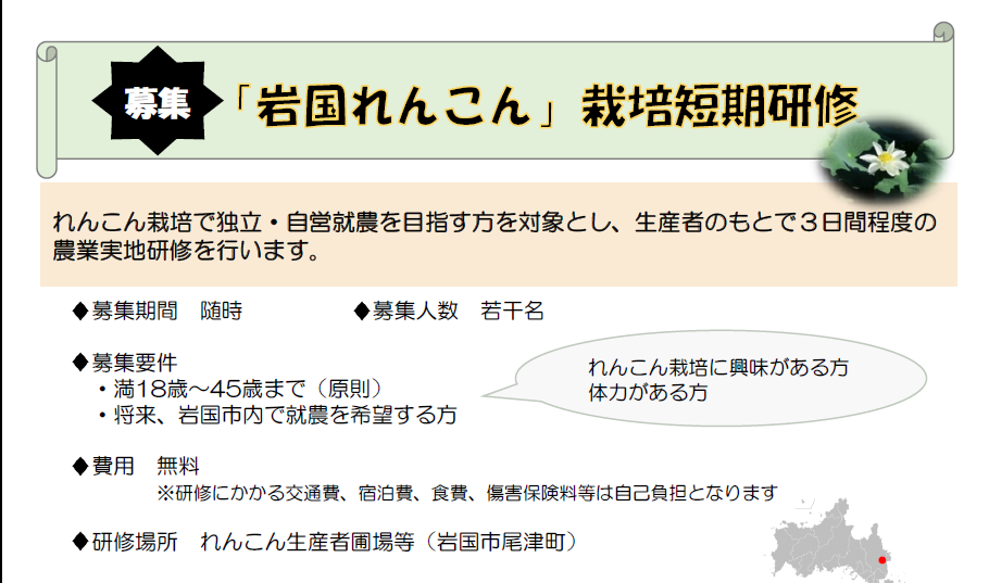 画像:「岩国れんこん」栽培短期研修