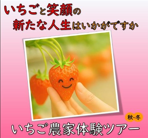 画像:南すおういちご部会 いちご農家体験ツアー(秋~冬)