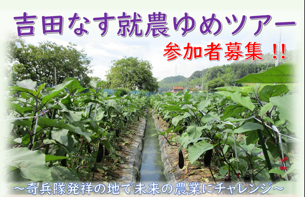 画像:【9月13日(土)開催!】吉田なす就農ゆめツアー