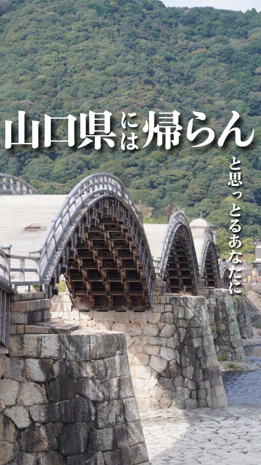 画像：【ショート動画公開中】シューカツ前に知っておきたいキャリアのはなし