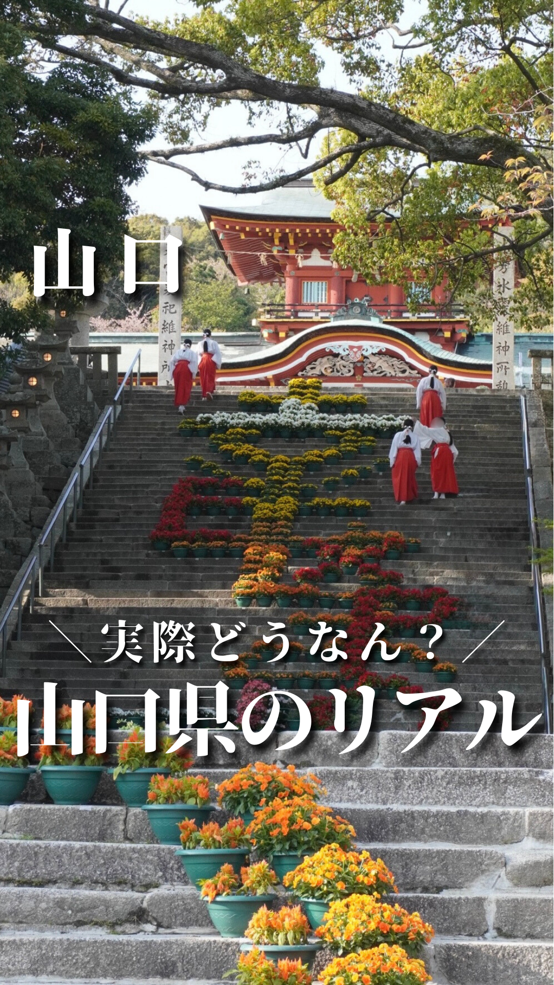 画像：【ショート動画公開中】山口県に住むって実際どうなの？