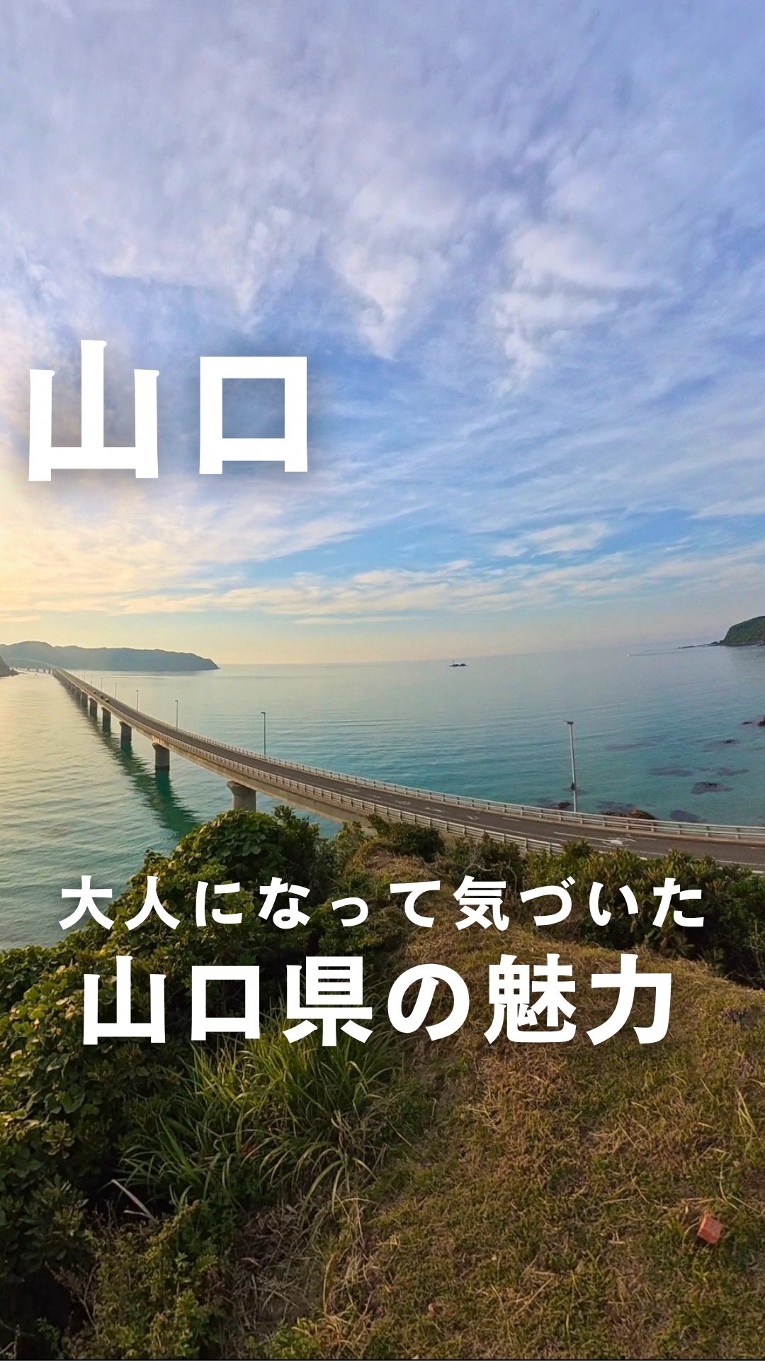 画像：【ショート動画公開中】大人になって気づいた山口県の魅力